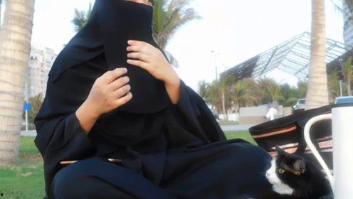 娱乐吃瓜君长腿,揭秘长腿明星的养成之路