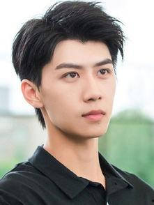 我是英雄演员表