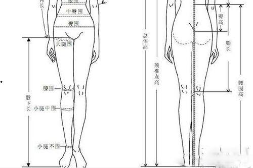 髂后上棘图片,人体骨骼结构的关键点